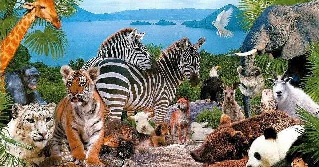 Hansı heyvanlar özlərini cavanlaşdıra bilir? ARAŞDIRMA