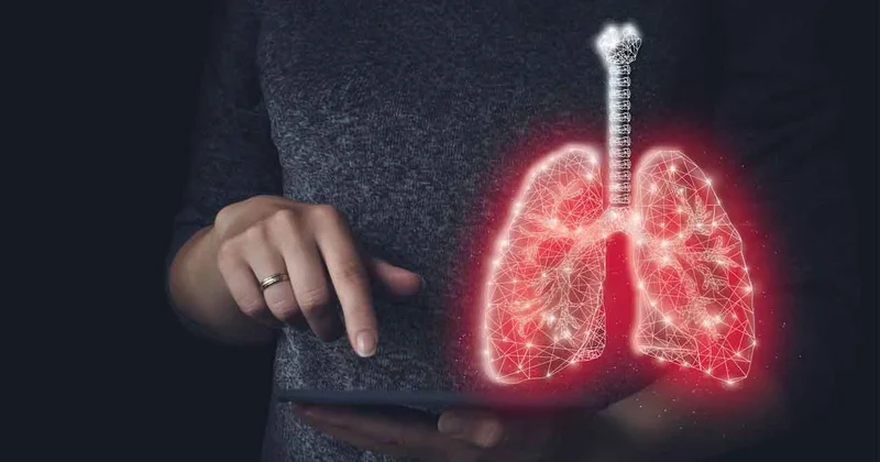 Ağciyərin gizli dərmanı mətbəxdədir: Təbii təmizləmə resepti