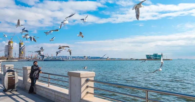 Бакинский бульвар расцветёт десятками тысяч цветов ФОТО