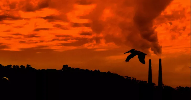 “Qaçılmaz fəlakət: yaxın gələcəkdə dünyanı ərzaq böhranı gözləyir“ “Bloomberg“