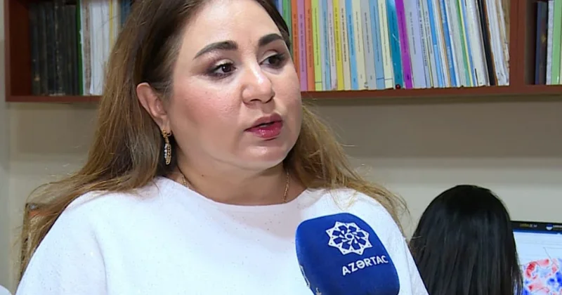 Azərbaycanda 8 ada tipli palçıq vulkanı mövcuddur