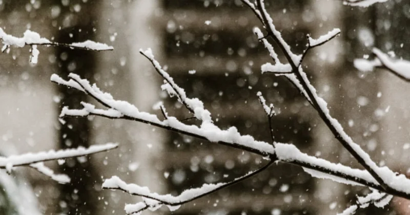 Предупреждение синоптиков: резкое похолодание в Азербайджане