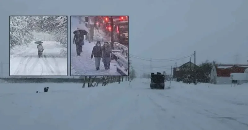 Yaponiyada güclü qar 30 nəfərin ölümünə səbəb olub