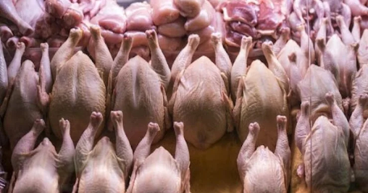 Azərbaycanda hinduşqa və qaz əti adı ilə nə satılır? FOTO