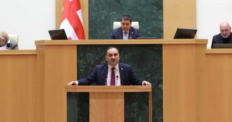 Gürcüstan parlamenti ümumi təhsillə bağlı yeni qaydaları təsdiq edib