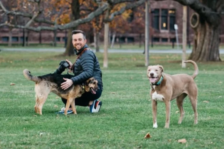 İtlərin fotosunu çəkmək üçün işindən ayrıldı