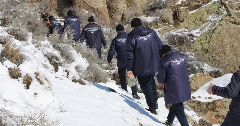 Naxçıvanda çöl heyvanlarının sıx məskunlaşdığı ərazilərə 100 kiloqramdan çox daşduz yerləşdirilib