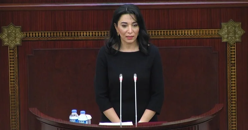 Ombudsman illik məruzə ilə çıxış edib