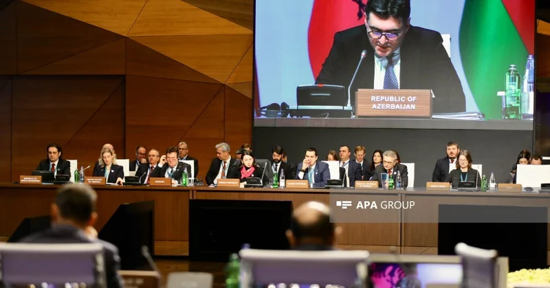 TAP: Kəmər infrastrukturundan istifadə edən daşıyıcıların sayı 3 dən 47 yə yüksəlib