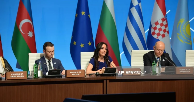 Leyla Əliyeva: Əgər Xəzər çətin vəziyyətdədirsə, demək ki, dünya ekosistemi təhlükə altındadır