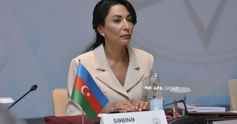 Ombudsman özünə daha iki səlahiyyət verilməsini istəyir