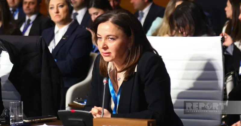 Лидия Салахова: AGSC за 5 лет продал около 7 млрд кубометров газа на спотовом рынке Европы