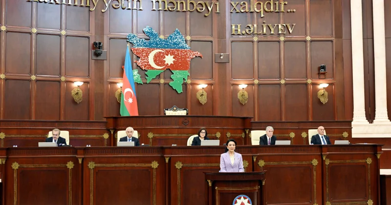 Səbinə Əliyeva: Rəqəmsal dövrdə informasiya hüquqları gücləndirilməlidir