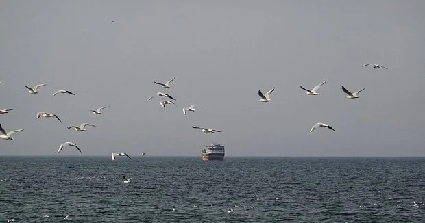 Hörmüz boğazının blokadaya alınmasının elan edilməsi neft qiymətlərini artırmayıb