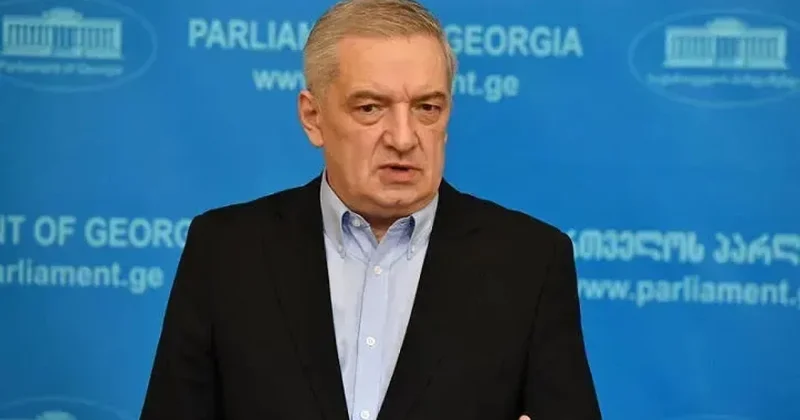 Gürcü vitse spiker: Cənubi Qafqaz ölkələri sabitlik üçün səylərini birləşdirməlidirlər