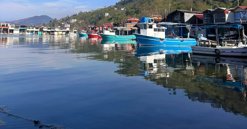 Aydər yaylası, sən necə də gözəlsən... FOTOLAR