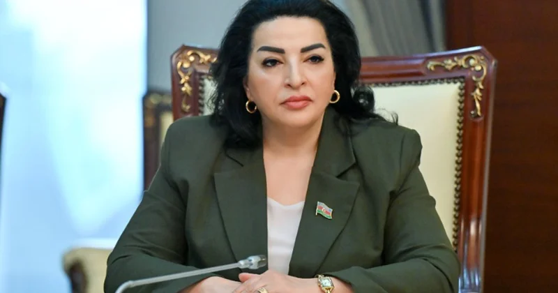 MM komitə sədrinin müavini: Nizami Kino Mərkəzinin divarına qraffiti çəkilməsi qınanılmalıdır