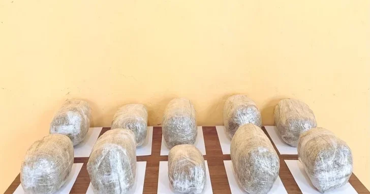В Азербайджане изъяты свыше 43 кг марихуаны: пресечена деятельность преступной группы