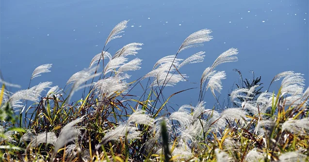 Qeyri sabit hava nə vaxtadək davam edəcək?