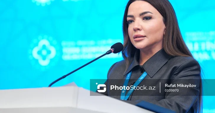 Айгюн Алиева: Победа Азербайджана в Отечественной войне это победа всего тюркского мира