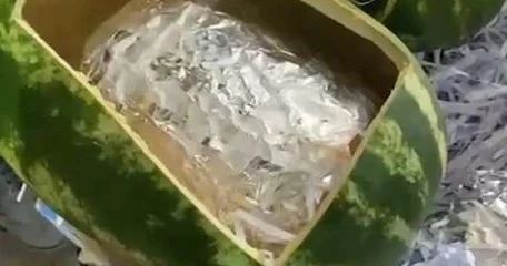 Gömrükçülər təzə qarpız ların içərisindən külli miqdarda narkotik tapdılar