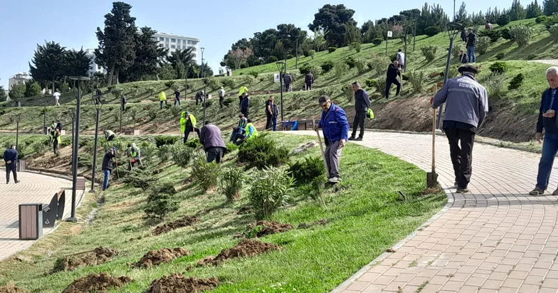 Xətaidə ümumrayon iməciliyi aksiyası təşkil olundu FOTOLAR