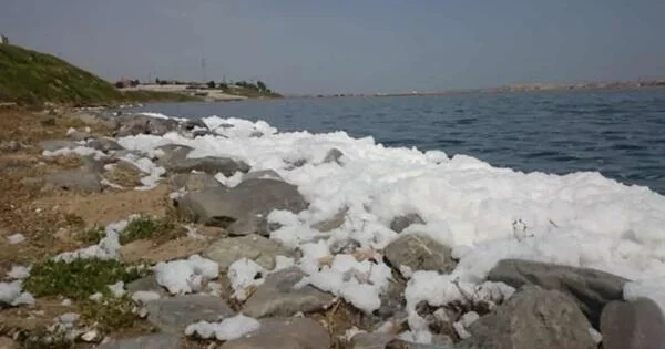 Böyük Şor gölündə qəribə köpüklənmə Video