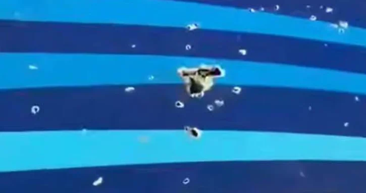 Bu nə dəliklərdir?
