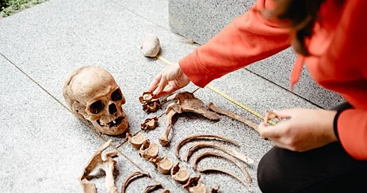 Arxeoloqlar qədim skeletlərin cinsini necə təyin edirlər?..