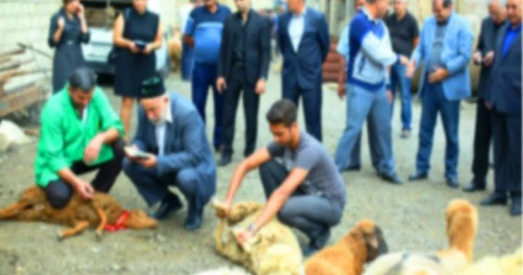 Səhiyyə Nazirliyindən Qurban bayramı ilə bağlı ÇAĞIRIŞ