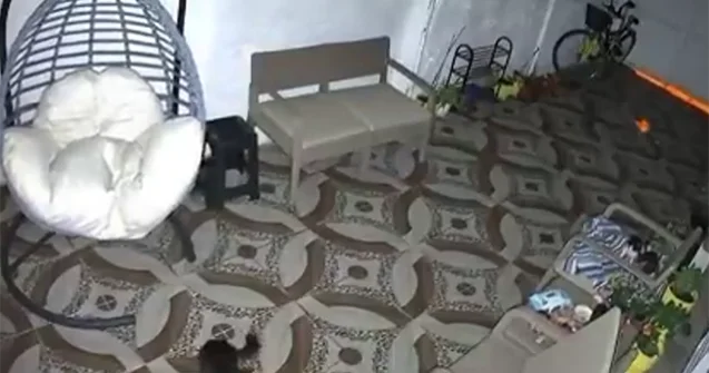 Türkiyə gecə vaxtı silkələndi Bu dəfə 5,7 bal... Video