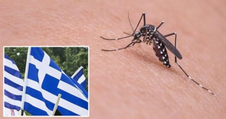 Əhaliyə xəbərdarlıq: Qorxunc virus yayılıb
