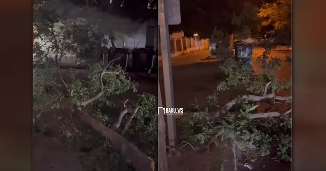 Güclü külək daha bir ərazidə təhlükəli vəziyyət yaratdı