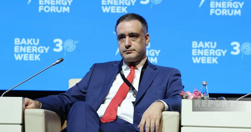 Замминистра экономики Грузии: Азербайджан надежный партнер в энергетическом секторе
