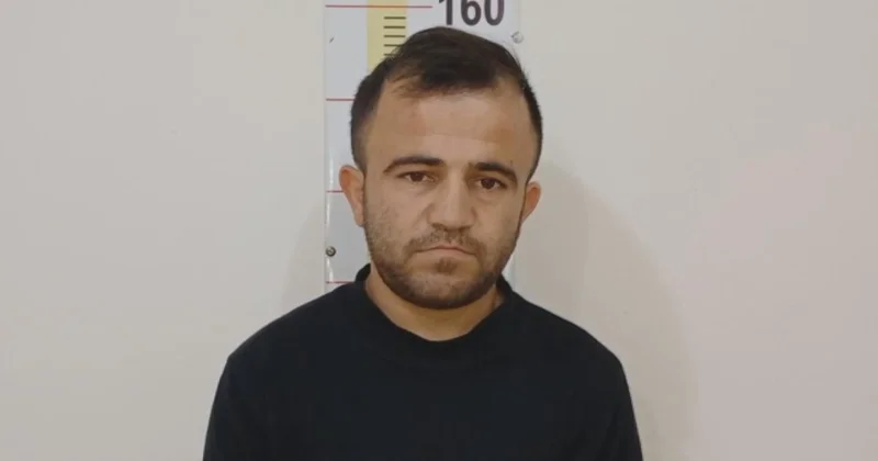 27 baş qoyun oğurladı, həbs edildi VİDEO