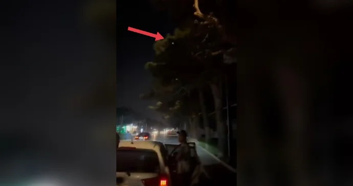 Bu yolda sürət həddini aşmayın: Ağacların arasında radar var VİDEO