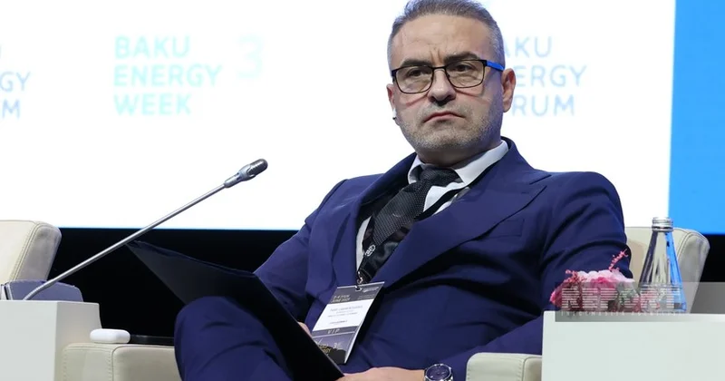 Минэнерго Румынии: Наше сотрудничество с Грузией и Азербайджаном будет реализовано в проекте Зеленый коридор