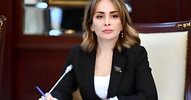 Deputat: Azərbaycan enerji sahəsində mühüm aktora çevrilib