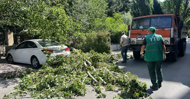 Güclü külək paytaxtda ağacları aşırdı, konteynerləri yola tökdü