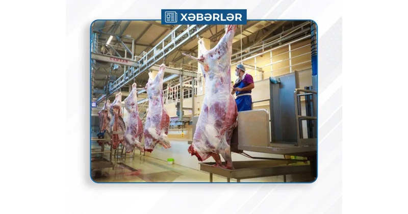 Qurbanlıq heyvanların satışı və kəsimi xidmətləri göstəriləcək ünvanlar açıqlanıb