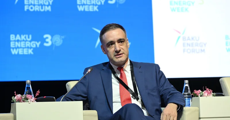 Gürcü nazir müavini: “Yaşıl Enerji Dəhlizi” ambisiyalı layihədir