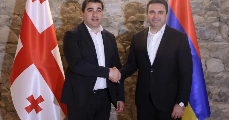 Ermənistan və Gürcüstan parlamentlərinin sədrləri regionu müzakirə edib