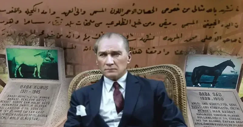 Atatürkün “Bu atı tapın” əmri türk atçılığının taleyini dəyişdi