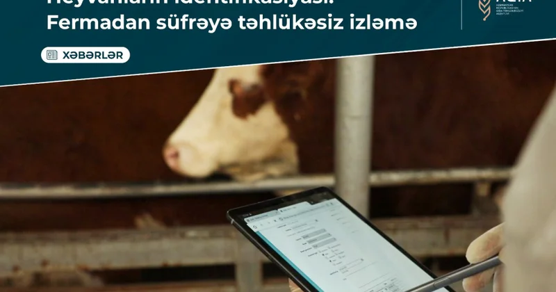 AQTA: Heyvanların identifikasiyası və qeydiyyatı baytarlıq nəzarətini gücləndirir