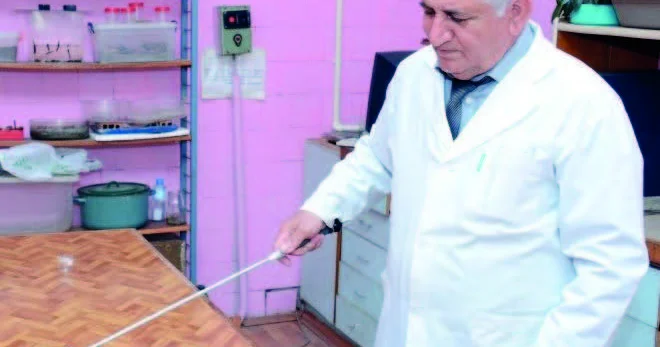 İlanlar insanları niyə sancır?