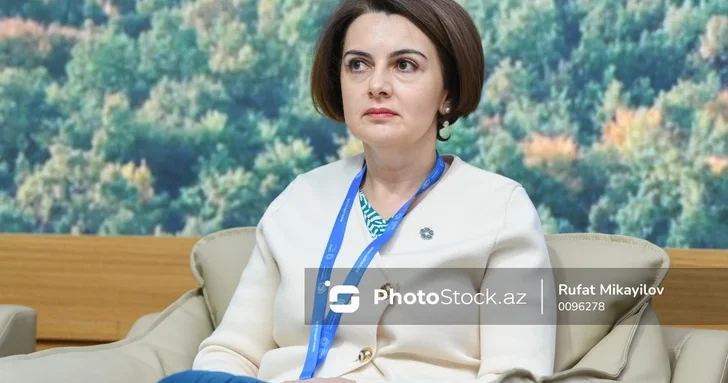 Рена Гумбатова: К концу 2026 года в Азербайджане введут в эксплуатацию 4 новые электростанции