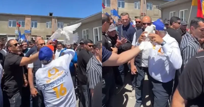 Paşinyanın göyərçin uğursuzluğu: Quşu uçura bilmədi VİDEO