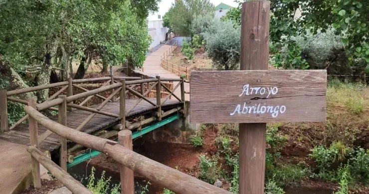 Dünyanın ən qısa beynəlxalq körpüsü: bir neçə addım aralıda başqa ölkə