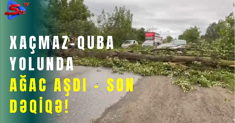 Xaçmaz Quba yolunda ağac aşdı Son Dəqiqə!