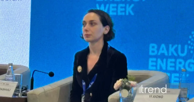 Всемирный банк о вызовах интеграции распределенной возобновляемой энергетики в энергосистему